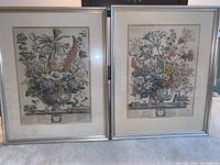 Pair of framed antique botanical etching prints side by side showing the full framed artwork.