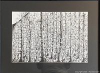 Frontal view of the framed ink drawing showing the entire artwork including the frame and mat.