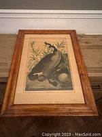 Full framed etching plate depicting two Canada Geese with foliage, in wood frame, laid flat on floor.
