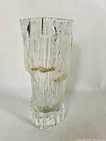 Clear glass vase with bark texture, organic shapes resembling tree trunk structure, standing upright.
