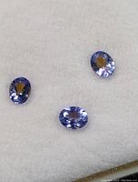 Three oval loose tanzanite gemstones displayed on white padding, showing facets and color.