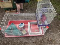 Wide shot showing large red cage with accessories, medium stainless steel cage, and smaller purple cage on top right corner