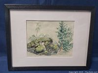 Framed Abel Lee print showing botanical watercolor with various green plants and moss on a rock against white mat and black frame.