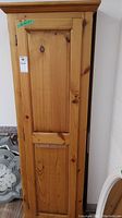 Front view of closed pine cabinet showing full height and panel door
