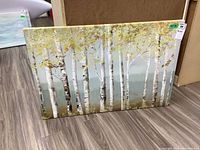 Full front view of birch tree canvas print on floor next to wooden box.