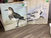 Two sea bird frameless canvas prints side by side on the floor showing the details and size difference.