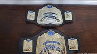 Two WWE Tag Team Championship belts laid out flat on a wooden surface.