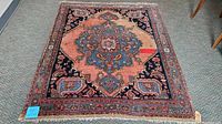 Full view of the vintage Amara area rug laid flat on a carpeted floor, showing its faded central medallion and border design.