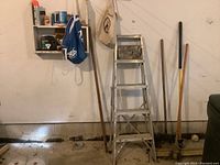 Metal 5 ft stepladder in center, garden tools (broom, edger, shovel) on right, wall shelf with clothespins and light bulbs on left.