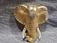 Front view of gold-tone elephant head brooch showing detailed textured surface, prominent ears, and white tusks.
