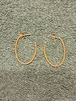 Pair of 14k gold oval hoop earrings on a green textured fabric background.