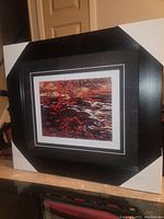 Framed print entire view showing black frame with white protective corner covers.