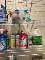 Shelf with various cleaning supplies including Mrs. Meyer's Clean Day soap, Clorox bleach, Simple Green cleaner, Lysol spray, and Neagan spray.