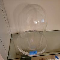 Front view of the large clear glass cloche dome on thick clear acrylic base showing size and shape.