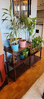 Overall view of dark wooden shelving unit with six living plants in colorful pots arranged on the shelves
