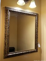 Front view of the rectangular framed mirror hanging on bathroom wall beneath light fixtures. The frame has ornate floral detailing with a metallic finish.