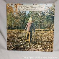 Front cover of The Allman Brothers Band 'Brothers and Sisters' vinyl record showing child standing in leaf-covered ground.