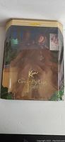 Front view of Ken Cowardly Lion doll in sealed original packaging with costume and crown accessory visible.