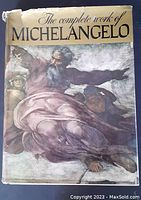 Front cover of the vintage art book titled 'The Complete Work of Michelangelo' showing a large Renaissance styled figure artwork with wear visible on the dust jacket edges.