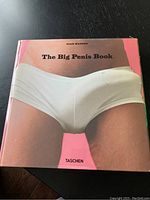 Front cover of the book showing the title 'The Big Penis Book' and a photo of a male torso wearing white underwear on a pink background.