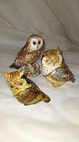 Three owl figurines on white fabric backdrop. Two jeweled owl boxes in front and a ceramic owl on a floral base in back.