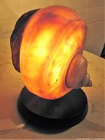 Nautilus shell lamp lit up showing the glowing amber and cream colors from the shell, mounted on a black circular base.