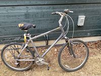 Full side profile of the men's Giant Sedona bike showing silver frame, rear rack, original worn seat, and tires