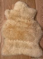 Off white sheepskin rug with curly wool laid on wood floor showing size and color.