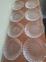 Eight clear glass shell shaped plates arranged on a wooden surface, showing varied shell shapes and details.