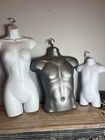 Three hanging plastic torso display forms: white female, silver male, and white child.