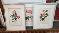 Three framed rose botanical illustrations leaning against wall and other items, showing flower details and frames