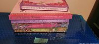Stack of five large pictorial books with fantasy themes, showing edges and thickness of books.