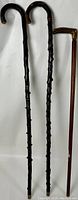 Two dark wooden crook handle walking sticks and one straight wooden cane with deer antler handle displayed vertically against a white background.