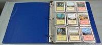 Binder open to first page showing nine basic land cards in four-pocket pages.