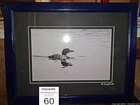 Framed black and white image of a loon swimming on water with reflection. Signed by Darcy Lloyd visible on bottom right.