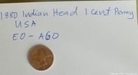 1880 Indian Head 1 Cent Penny on a white paper with handwritten label showing coin details.