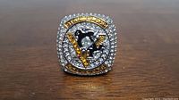Front view showing the large Pittsburgh Penguins logo surrounded by multiple rows of clear rhinestones and text 'Stanley Cup Champions'.