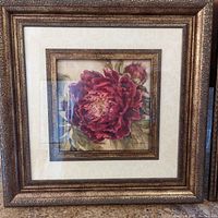 Front view of one framed floral print featuring a deep red flower with detailed gold ornate frame.