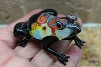 Close-up of Murano glass frog figurine showing multicolored patterned body and black legs held in hand