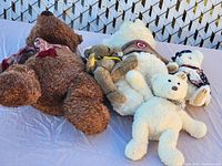 Five teddy bears of different sizes and colors arranged outdoors on a light blue sheet, showing the whole lot.