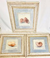 Three matching framed art pieces arranged with distressed wood whitewashed frames and seashell paintings in light blue background.