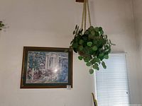 Photo showing the large framed print hung on the wall and the artificial plant hanging from ceiling with rope.