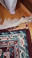 Close-up of carpet fringe showing fraying and damage.