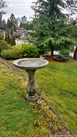 Full view of cement bird bath on lawn showing basin and pedestal.