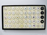 Tray of 50 clear jars each containing a single colored gemstone arranged in rows on foam.