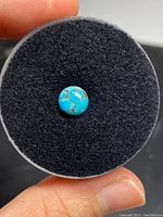 Close-up of the 8mm turquoise cabochon gemstone on a black foam disc showing the natural blue color with brown matrix veins.