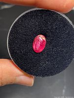 Close-up of an oval cabochon ruby gemstone held over a black foam disk inside a clear plastic round container. The ruby shows inclusions and deep red color.