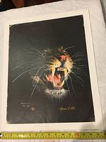 Full view of the lithograph showing the roaring big cat with visible white border around the image and light edge damage.