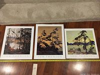 Full view of the three Tom Thomson lithographs laid out side by side, showing different nature scenes and dimensions.