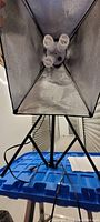 Photography light with softbox diffuser and three bulb sockets mounted on tripod stand. Visible power cord included.